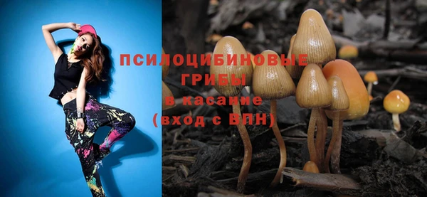 МДПВ Абдулино