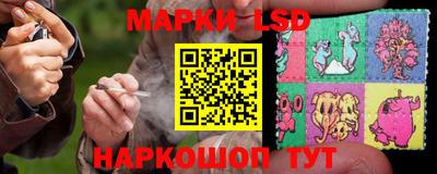 PSILOCYBIN Нальчик