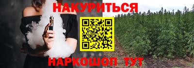 PSILOCYBIN Нальчик