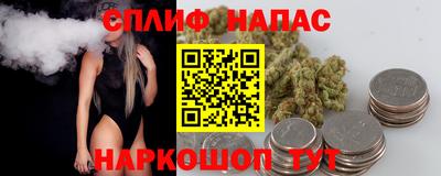 PSILOCYBIN Нальчик
