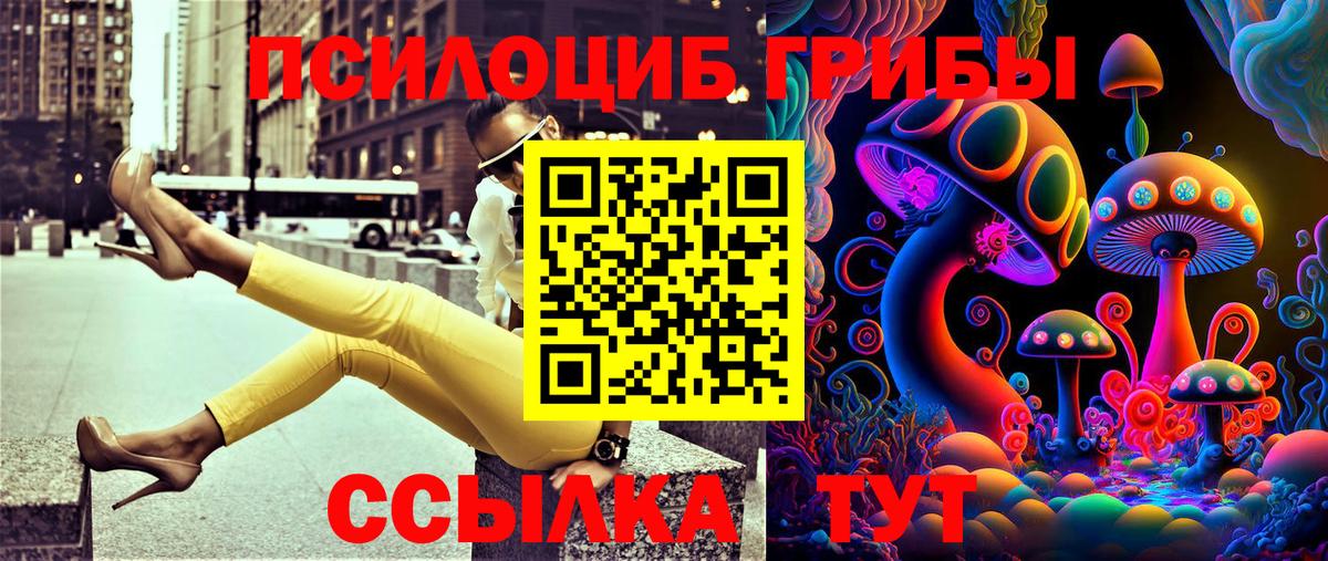 Псилоцибиновые грибы GOLDEN TEACHER  Вход с VPN  Псилоцибиновые грибы Cubensis  Ялта 